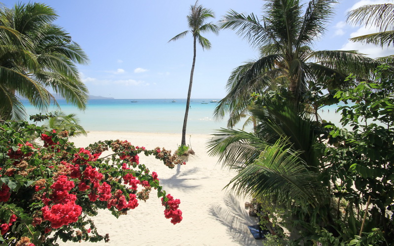 Robinson Beach House Boracay